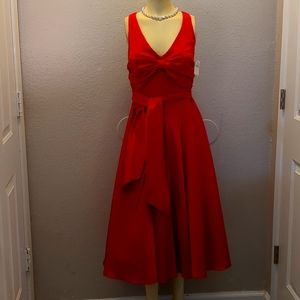 Nicole Miller Special Occasion Dress